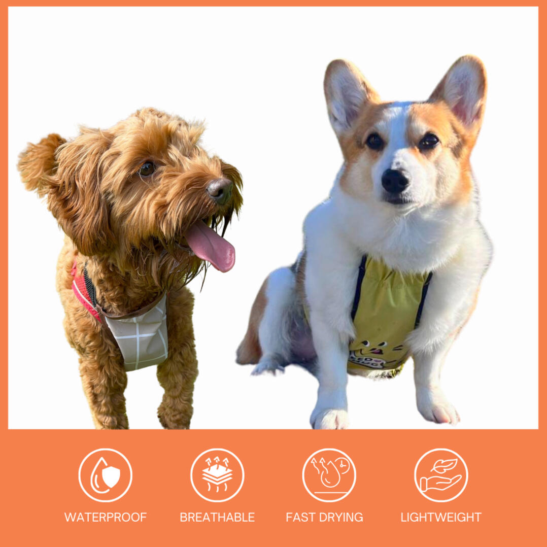 Waterproof dog belly vest for Corgis